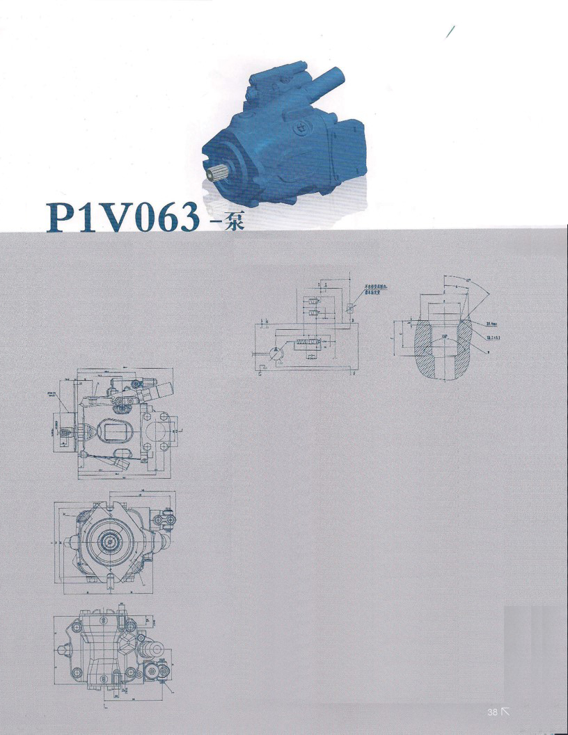 Аксиально-поршневой регулируемый насос P1V063